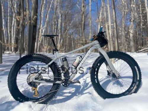 Devinci Minus specificaties